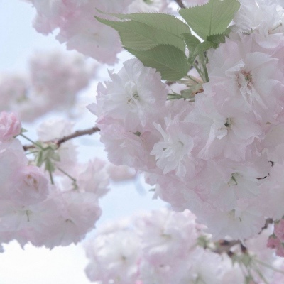 Furry绘画细节处理FurryQQ群